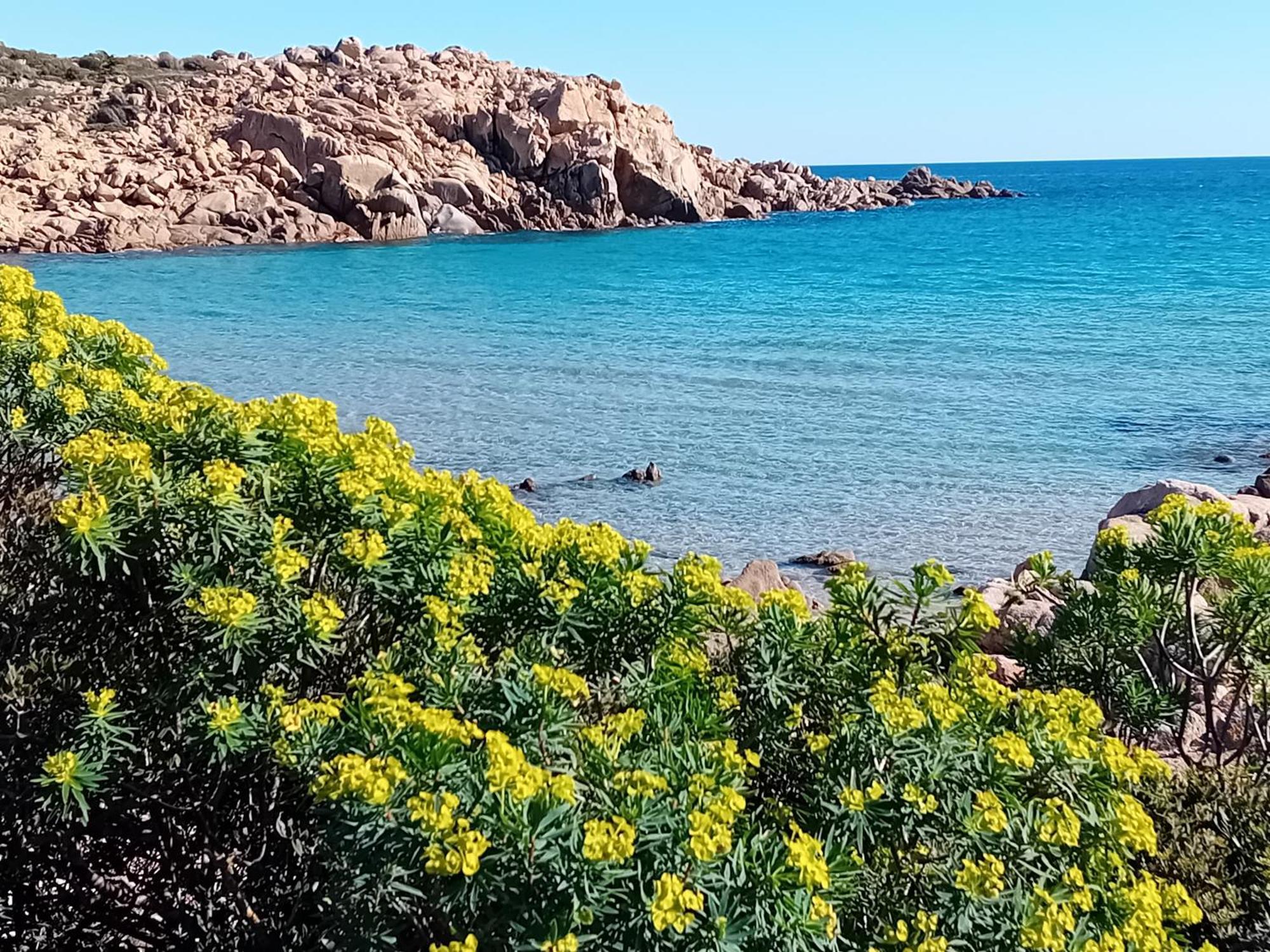 Sole&Mare Di Barbara Villa Chia Exterior photo